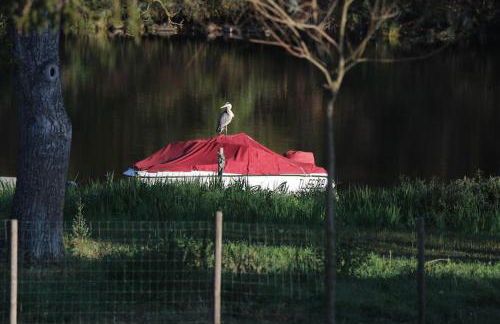 Le Ponton des Sympetrums - Foto 31