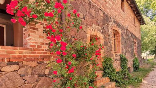 Apartment Studio Brennerei Haselberg by Interhome - Foto 2