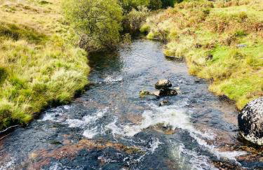 The Apple Shed - cosy cabin nestled in orchard in rural Devon - Foto 37