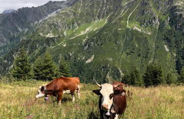 Chalet Rivière du Bon Nant Location de 6 à 14 personnes en Haute Savoie - Foto 45