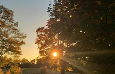 Ferienhaus Harzer Bauernhof - Foto 20