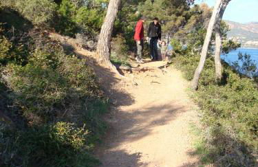 Studio et parking à 300m de la plage de Fréjus - Foto 34