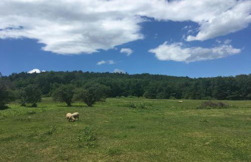 Spooner House - Photo 24