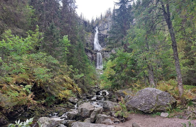 Forest Family Home - Foto 41