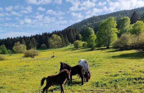 Ferienhaus Am Hermannsberg, Oberschoenau - Foto 72