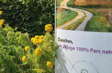 Le Prestige des Délices - Foto 22