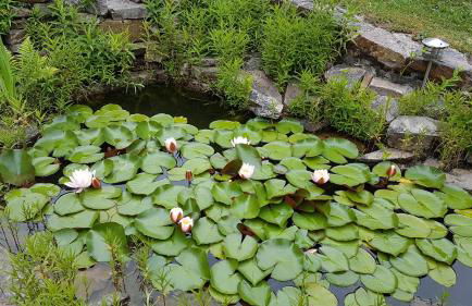 Ferienwohnung Brillant am Nationalpark Hunsrück-Hochwald - Foto 36