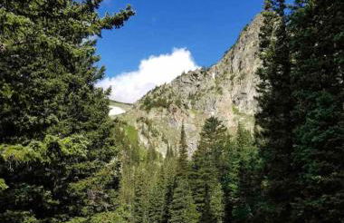 Blue Owl - Tree House Views! Couples Getaway! - Foto 33