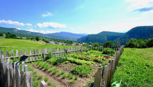 Agriturismo Reinhof - Foto 4, Garden