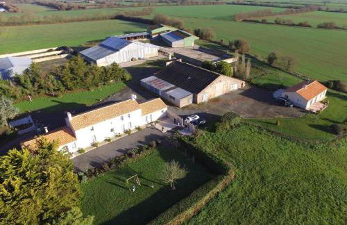 Maison récente à la ferme avec jardin, terrasses, 4 chambres, proche plages et pêche privée - FR-1-426-86 - Foto 10