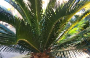 Vista sul Mare - Foto 7