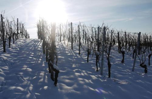 Stilvolle FeWo *Rebland* Balkon-Netflix-Parking - Foto 35