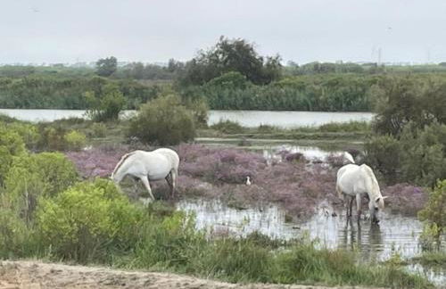 La Maison Rose sur le Port - Foto 16