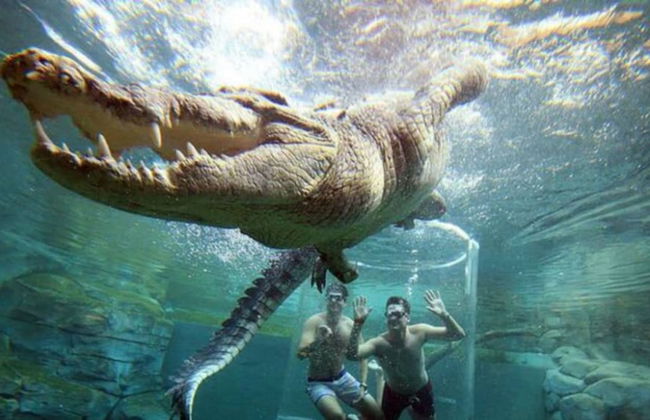 Urbanretreat Modern Outdoor Dining Backyard - Foto 27