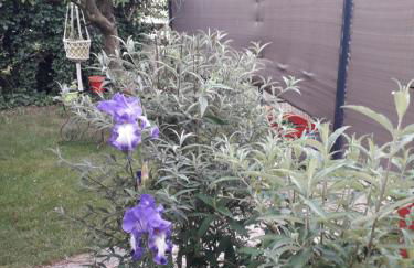 Brig'Gîte - Photo 50