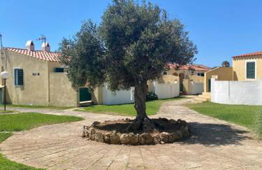 Apartamento 7 Palmeras - Foto 12