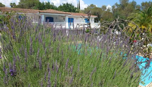 Superbe appartement de standing Le Trophée du Golf - Foto 3