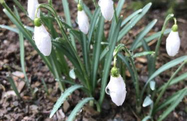Berg- und Seeblick - Foto 37