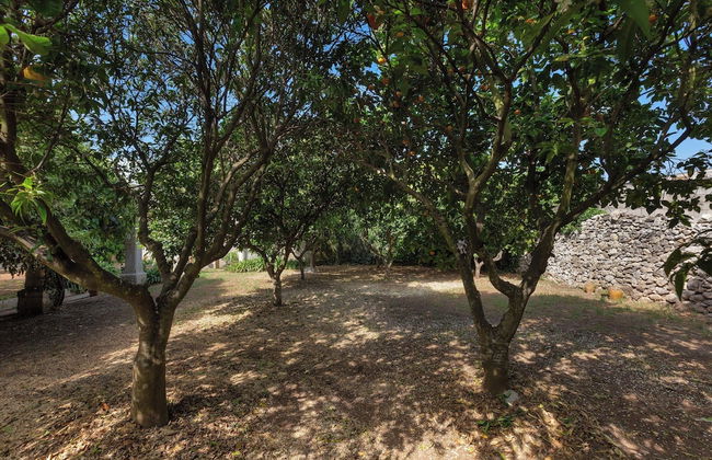 3899 Villetta Corte del Cavaliere by Barbarhouse - Photo 28