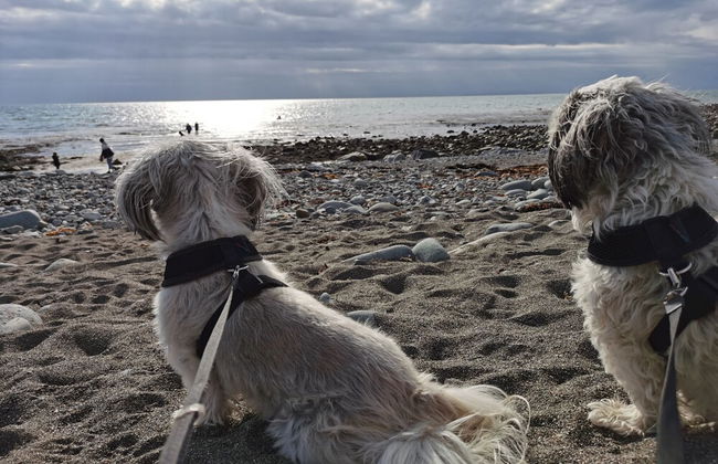 Sea and Mountain View Sunbeach Holiday Snowdonia - Foto 35