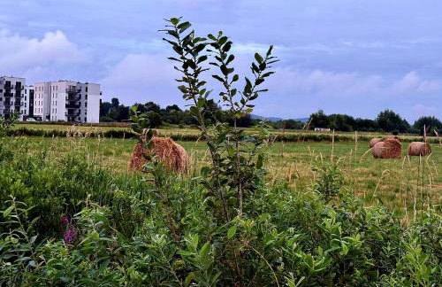 Leśna Przystań Rumia - obok Gdyni i Aquaparku Reda - Foto 60