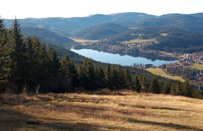 Pine Cones in the Haslehaus - Foto 20