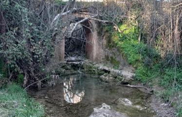 La Buganvilla, descanso entre olivares - Foto 17