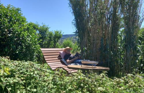 Casinha do Barreiro - Cosy Private Cottage - Foto 28