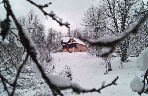 Planinski Raj House with 2 Apartments for 10 Guests - Foto 53