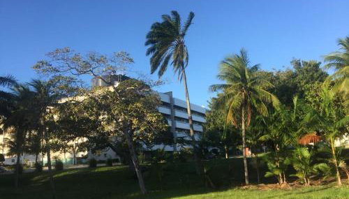 Blue Marlin Resort&Spa - Foto 3