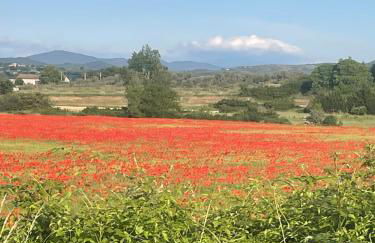 mas du Clap - Photo 13