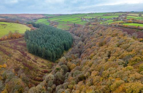 Smiddy Cottage, Historic Village Hub with Spacious Lounge, High Ceilings, and Wood Stove - Foto 21