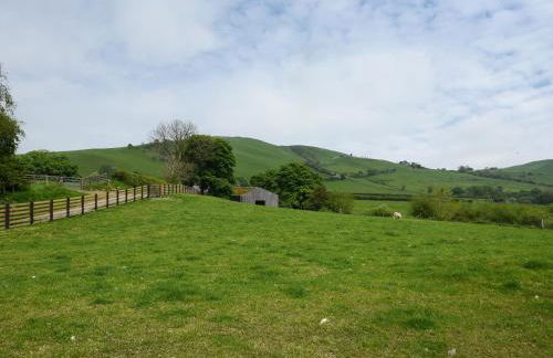 Dolwen Isaf - Photo 25