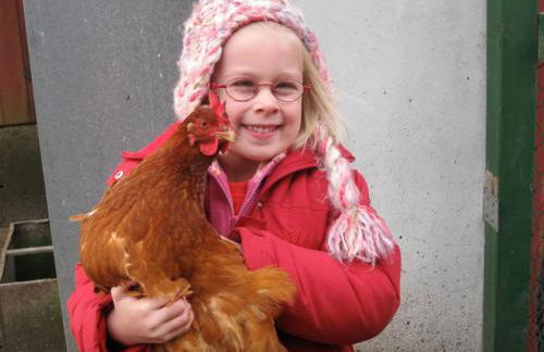 Ferienhof Utech - Foto 23