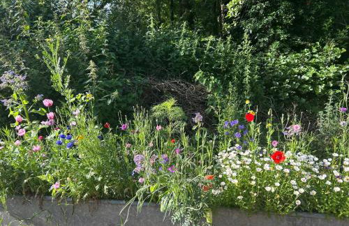 Cosy Devon Hut Woodland Views - Photo 53