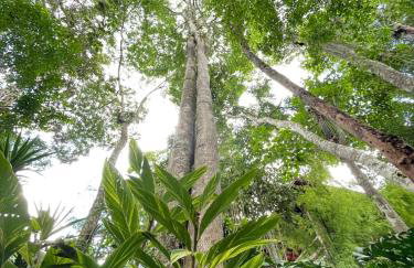 Vale Vijaya bem estar em meio à natureza - Foto 37