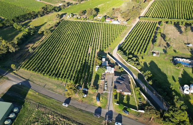 Mclaren Vale Vineyard Homestead - Foto 2