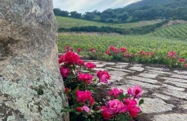 Tenuta Paltusa - Foto 10