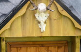 Luxuriöses Ferienhaus mit Sauna, Whirlpool und Fitnessraum im Nationalpark Schwarzwald - Foto 66