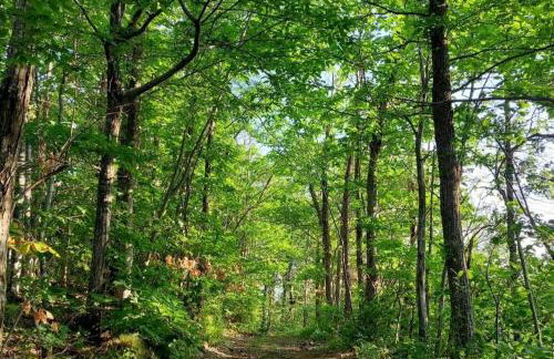 Agriturismo Roccamaia - Foto 31