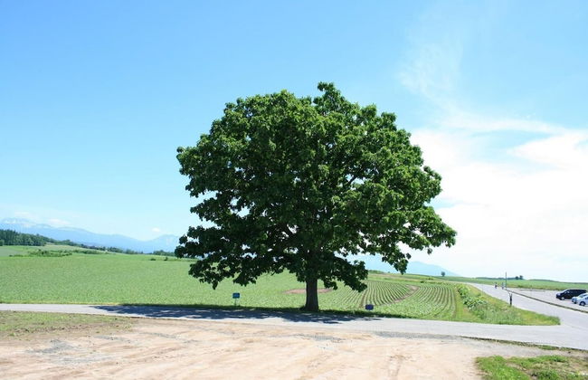 Stay in Biei - Foto 43