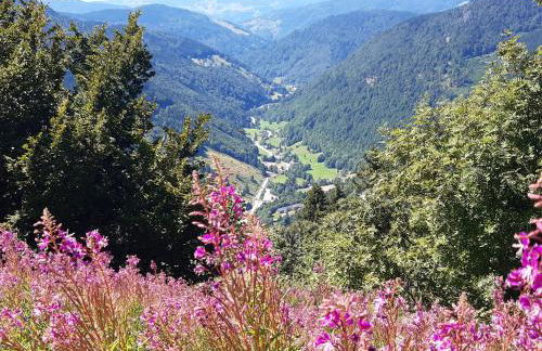 Kopf Frei auf 1000 Meter - Photo 35