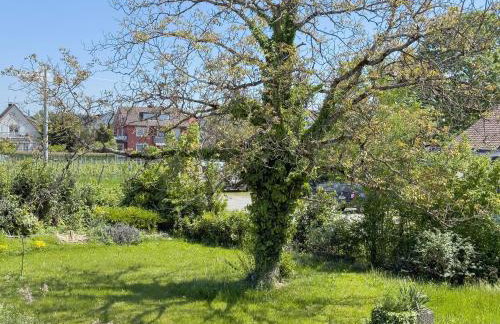 Ferienwohnungen Gierer - Photo 3