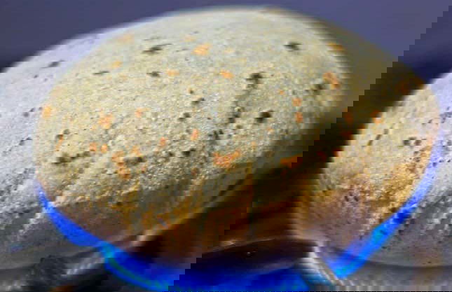 Cooking Class & Meal with an Indian Family - Foto 10