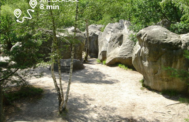 Kabanéo - Gîte et Sauna- Samois sur Seine - Forêt de Fontainebleau - Foto 25