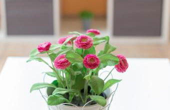 Saturraran - baskeyrentals - Foto 21