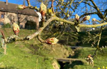 Ferienwohnung Burg Hausen - Foto 47