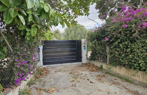 Es Molí de'n Palmer - Foto 25