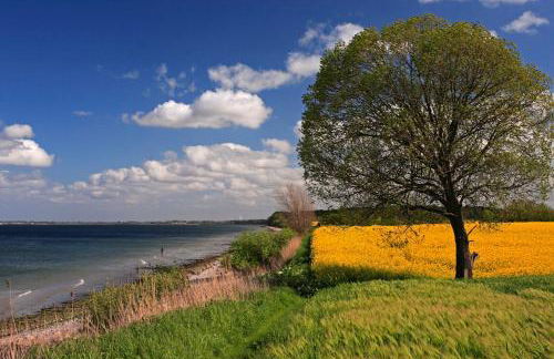 Ferienwohnung Timja - Foto 13