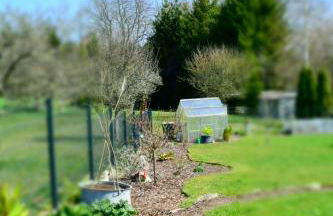 Ferienwohnung Jüdel mit Saunanutzung - Foto 40